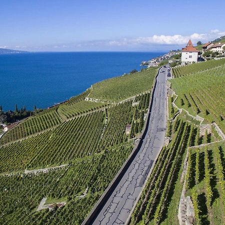 Domaine Du Burignon Ξενοδοχείο Saint-Saphorin Εξωτερικό φωτογραφία