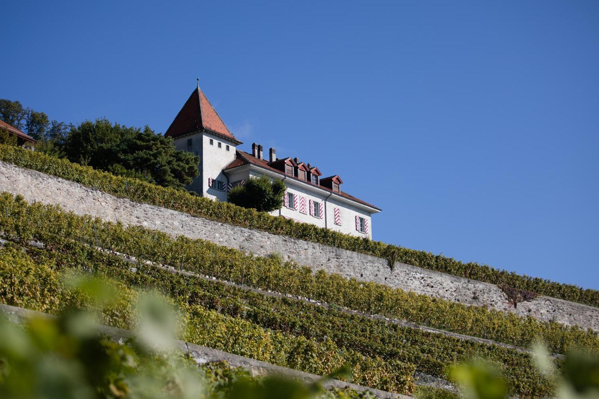 Domaine Du Burignon Ξενοδοχείο Saint-Saphorin Εξωτερικό φωτογραφία
