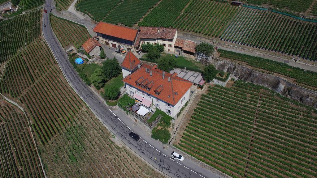 Domaine Du Burignon Ξενοδοχείο Saint-Saphorin Εξωτερικό φωτογραφία