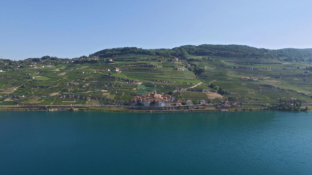 Domaine Du Burignon Ξενοδοχείο Saint-Saphorin Εξωτερικό φωτογραφία