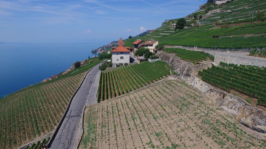 Domaine Du Burignon Ξενοδοχείο Saint-Saphorin Εξωτερικό φωτογραφία