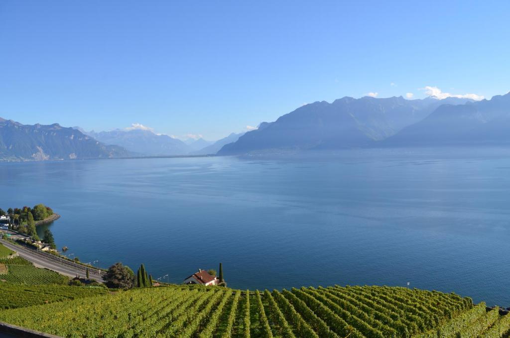 Domaine Du Burignon Ξενοδοχείο Saint-Saphorin Δωμάτιο φωτογραφία