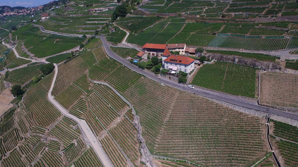 Domaine Du Burignon Ξενοδοχείο Saint-Saphorin Εξωτερικό φωτογραφία