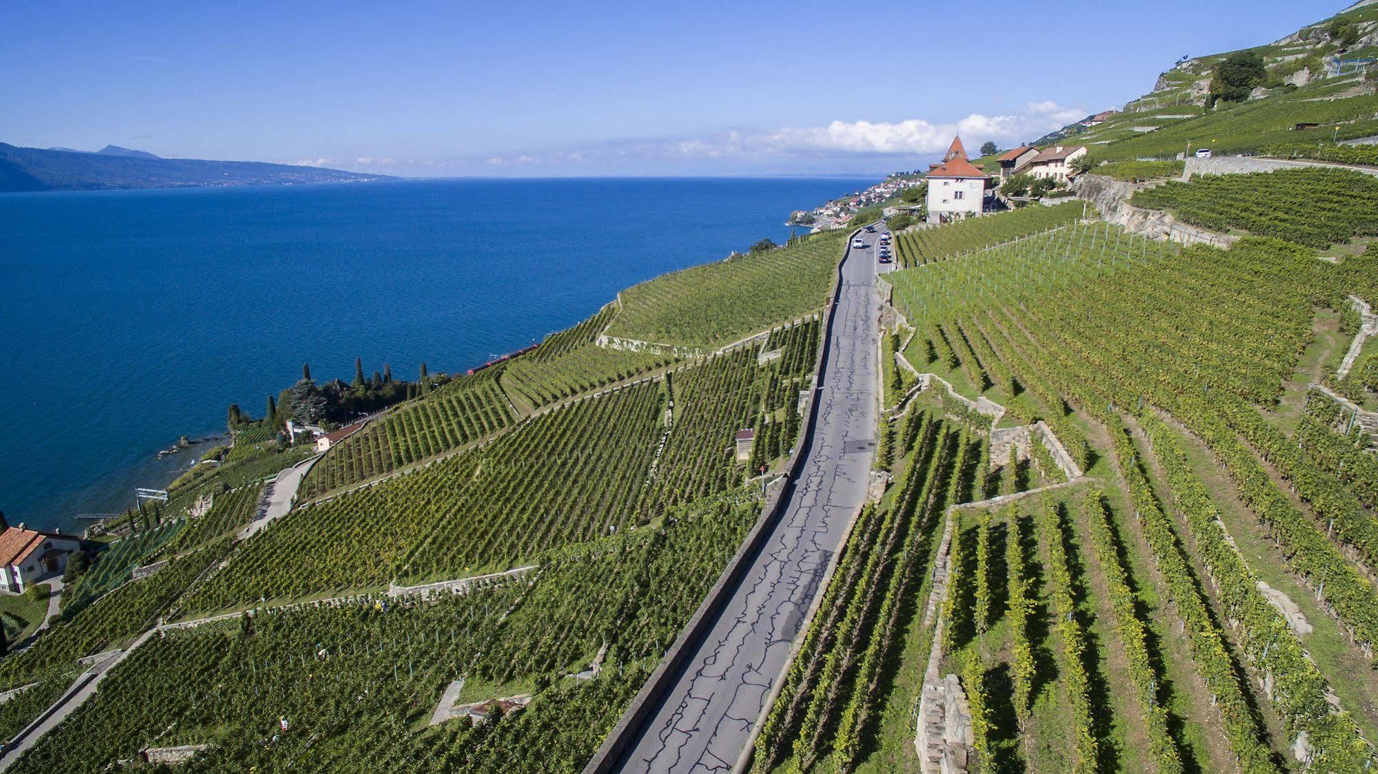 Domaine Du Burignon Ξενοδοχείο Saint-Saphorin Εξωτερικό φωτογραφία